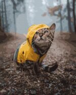 dimo-tapyba-pagal-skaicius-ANG047