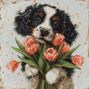 siuvinejimo-rinkinys-27x27cm-sbu5067