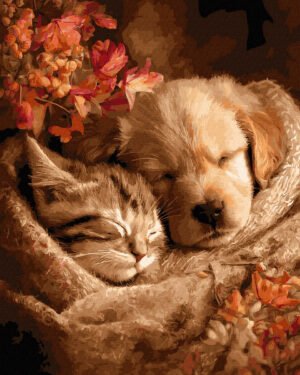 tapyba-pagal-skaicius-ANG1026-dimo-suo-kate