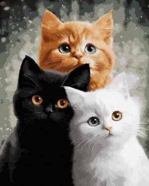 tapyba-pagal-skaicius-dimo-ANG1031-kates