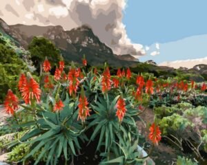 Tapyba pagal skaičius Raudonųjų alavijo žiedų kalnų laukas 40x50 cm