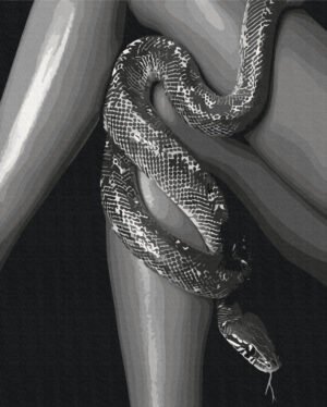 tapyba-pagal-skaicius-BS54354